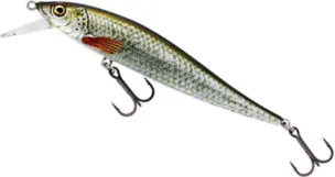 Westin Jerkbite SR Jerkbait 9cm 8g Suspending Real Roach