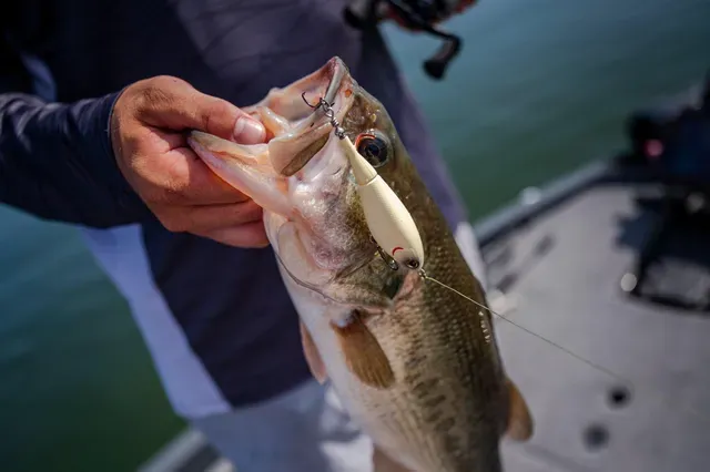 Berkley Choppo Topwater 9cm 14g Ghost Bluegill