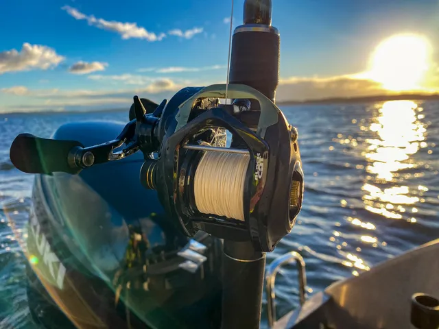 Black Cat Cast Baitcasting Reel 301 5.2:1 320g 12kg 66cm LH