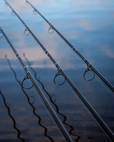 Fox EOS X Karpfenrute 3.66m 3lb 2-teilig