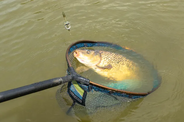Preston ICS Futterkorb Mini 30g