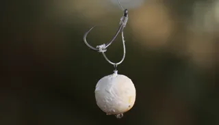 IQ D Rig