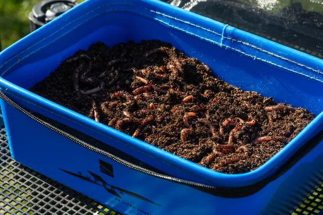 Preston Supera X Köderbox 4,5l Ventamesh