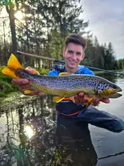 Savage Gear Salmonoid SG6 Spinning Rod 2.79m 7–24g