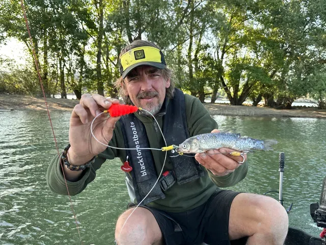 Black Cat Baitfish Tree Rig 2m #6/0