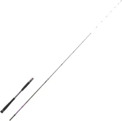 Hearty Rise Shiga Tenya Spin Meeresrute 2.05m 30–60g 2pc