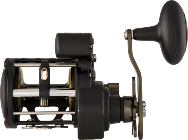 Penn Fathom II Level Wind 20LC 5.5:1 620g Left