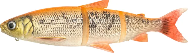 Savage Gear 3D Line Thru Whitefish Swimbait 17cm 53g Golden Albino