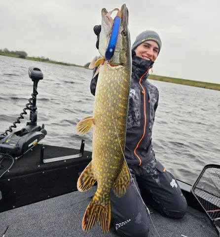 Abu Garcia Svartzonker McMy Tail Tail-Köder & Hybrid-Köder 20cm 83g 0.5–2m Blue Sunrise