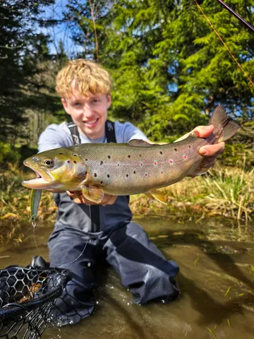 Savage Gear Seeker ISP Crankbait 9.8cm 0.5–1.5m 23g Green/Silver