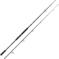 Spro Big Lure Spin Spinnrute 2.4m 60–180g 2pc