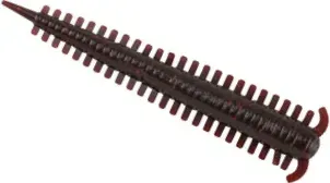 Berkley Gulp Saltwater Sandworm 24pc 5cm Motor Oil Red Fleck