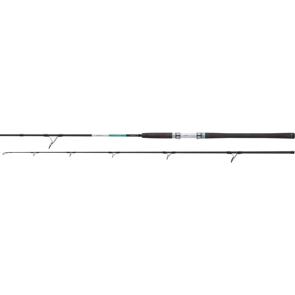 Balzer 71 North Power Pilk Meeresangelrute 2.45m 100–275g 2pc