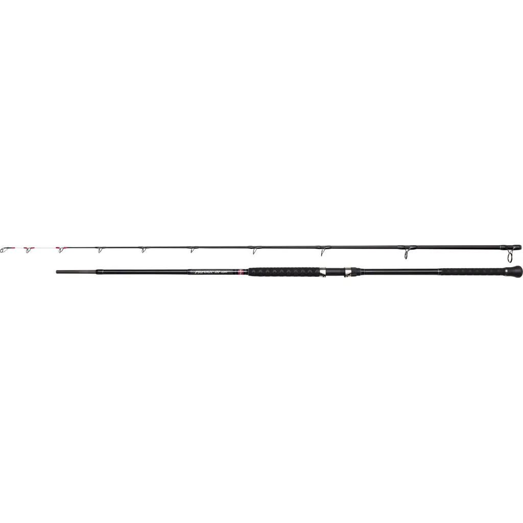 PENN PREVAIL III LE Uptide Meeresrute 303 3m 70–300g 3pc