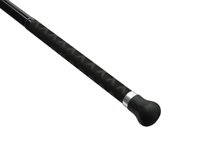 Penn Squadron IV Bass Spin Spinning Rod 3.5m 57–113g Fast