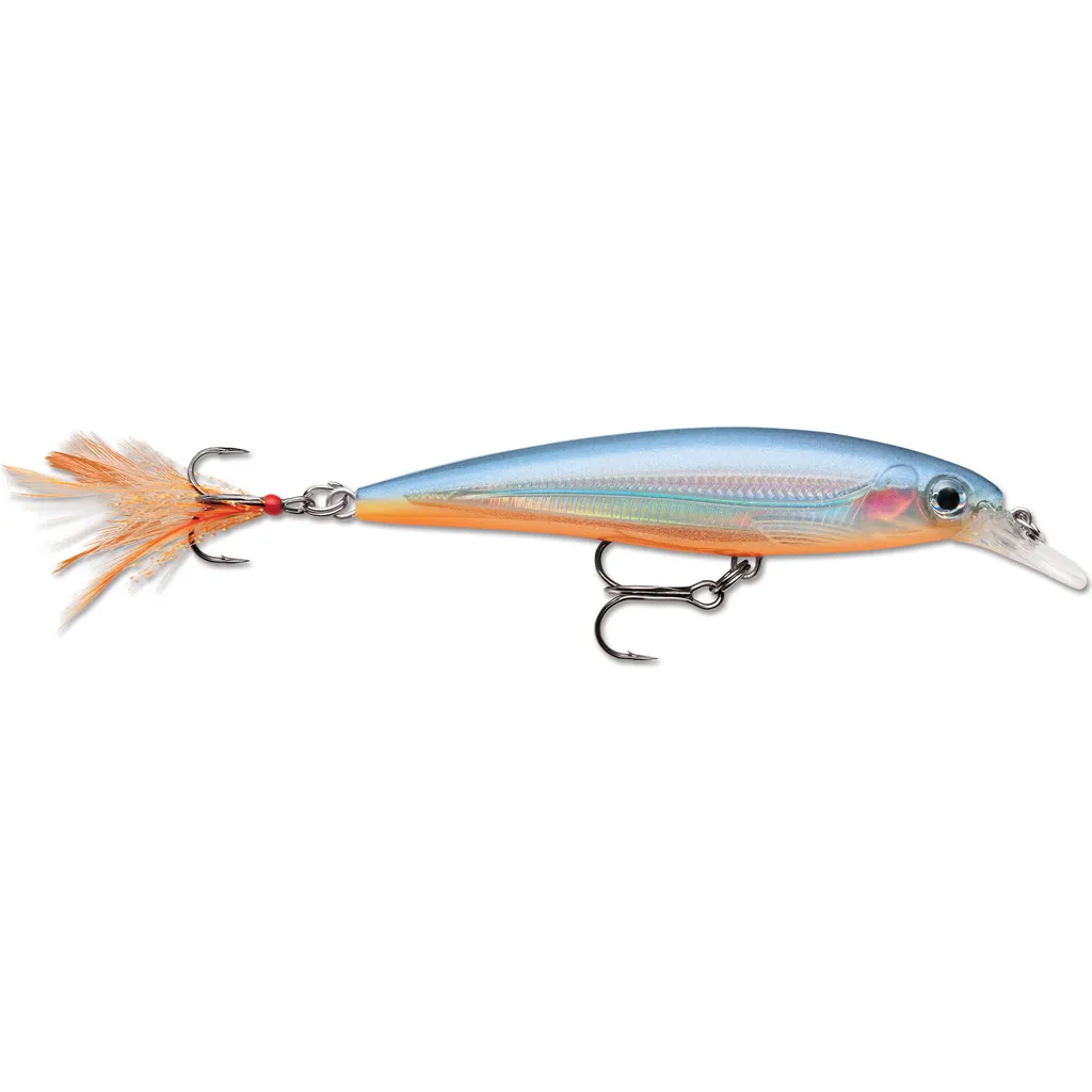 Rapala X-Rap Wobbler XR10 10cm 13g SCP