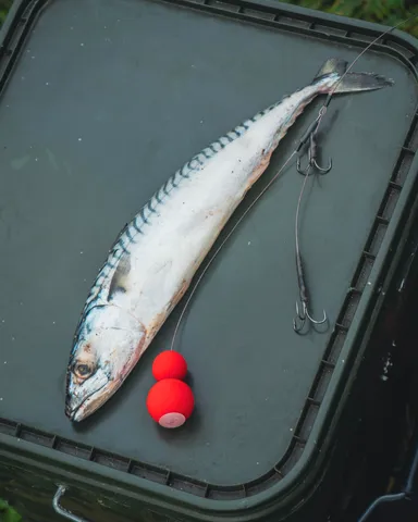 Fox Rage Predator Twin Treble Pop-Up Trace #4 18.14kg