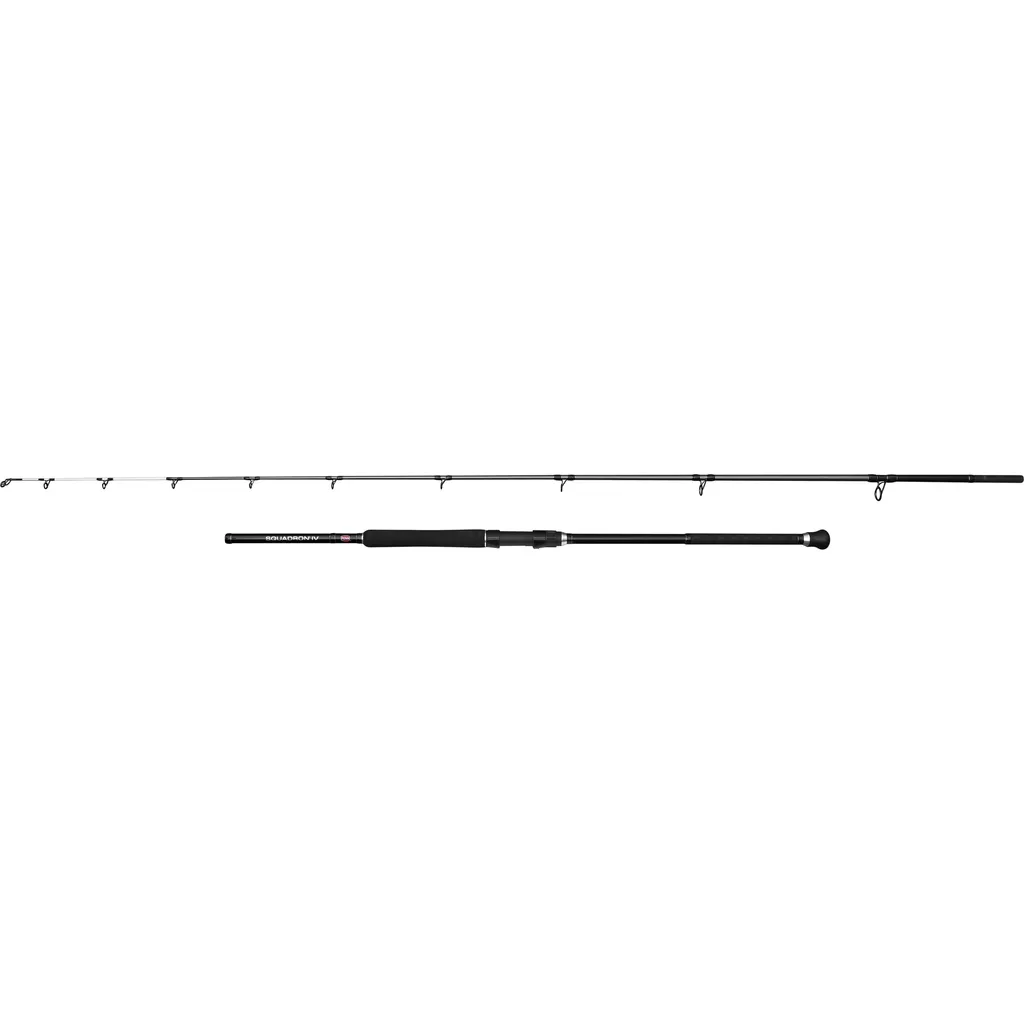 Penn Squadron IV Uptide Meeresangelrute 3m 170.1–283.5g 2pc