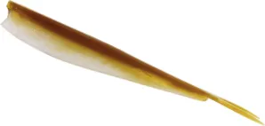 Westin Twinteez V-Tail Gummifisch 20cm 32g Baitfish Glitter