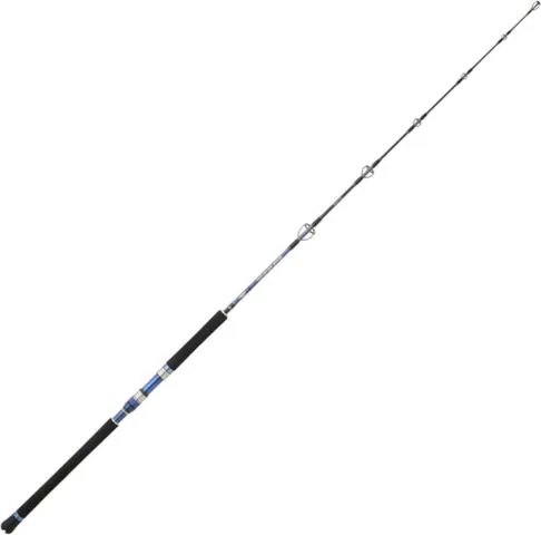 Hearty Rise Monster Game Jigging Rute 1.62m 100–300g 270g Carbon