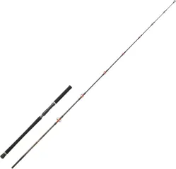 Hearty Rise Gyoluck Spin Tuna Meeresrute 2.5m 30–120g 2pc