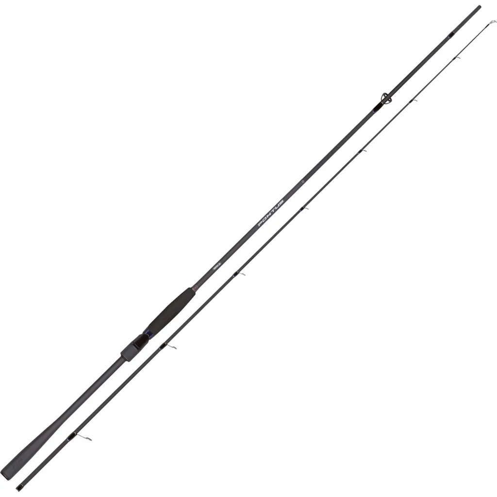 FTM Pontus Spinnrute 10–40g 2pc