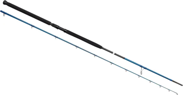 Savage Gear SGS2 Shore Jigging Spinnrute 3.05m 30–100g 365g Moderate Fast