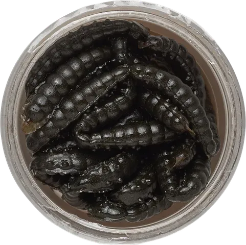 Berkley PowerBait Power Honey Worm 2.5cm 60g Black