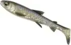Savage Gear 3D Whitefish Shad 12cm 14g 3pc Whitefish