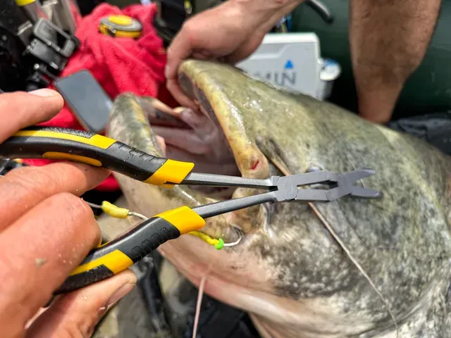 Black Cat Power Pliers 33cm High Carbon Steel Dual Joint