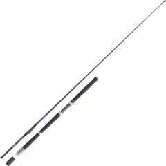 Balzer Adrenalin Inline Ultra Heavy 1200 Meeresrute 2.2m 400–1200g 2pc