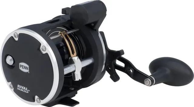 Penn Rival Level Wind 30 LC 3.9:1 641g