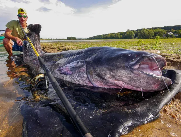 Black Cat Black Passion G2 Spinnrute 2.7m 50–200g 323g 145cm