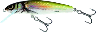 Salmo Minnow 6cm 0.5–1m 4g Floating
