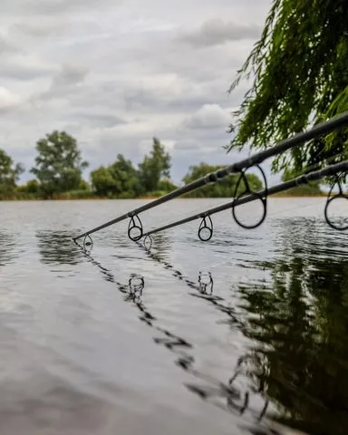 Fox Horizon X5 Rod 3.66m 1.81kg