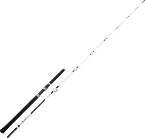 Spro SB Nano Mega Jig Spin Meeresrute 2,1m 450g 2pc