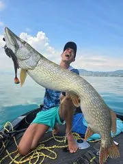 Savage Gear 3D Whitefish Shad Softbaits 23cm 94g Zander