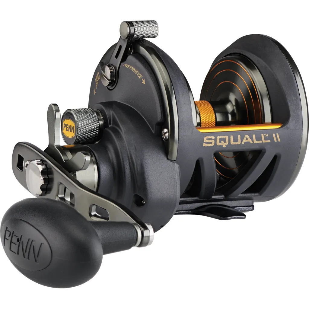 PENN Squall II Star Drag Meeresrolle SQLII25NSD 6.1:1 25N Right