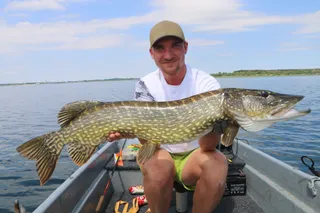 Die Top Köder für den Start in die Hecht Saison !